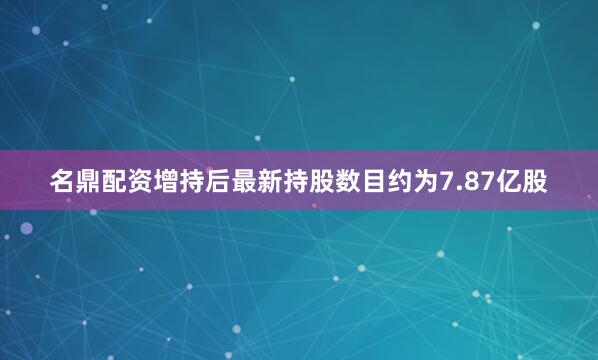 名鼎配资增持后最新持股数目约为7.87亿股