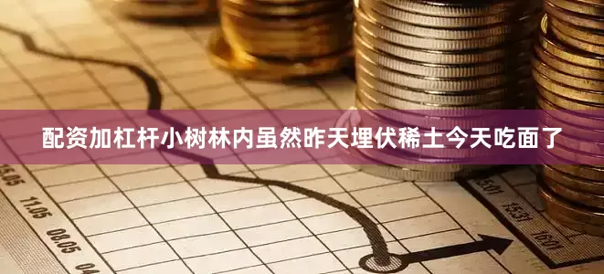 配资加杠杆小树林内虽然昨天埋伏稀土今天吃面了