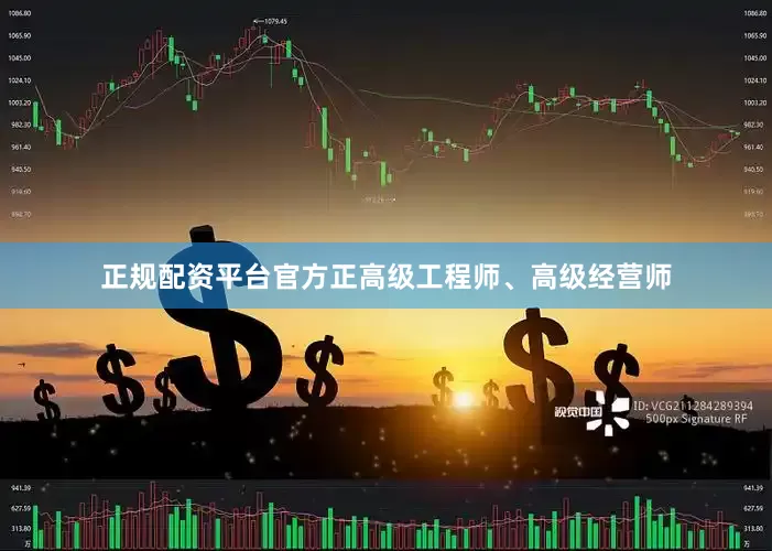 正规配资平台官方正高级工程师、高级经营师