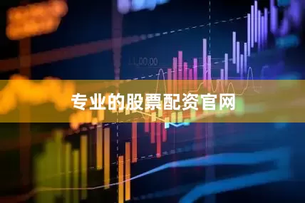 专业的股票配资官网