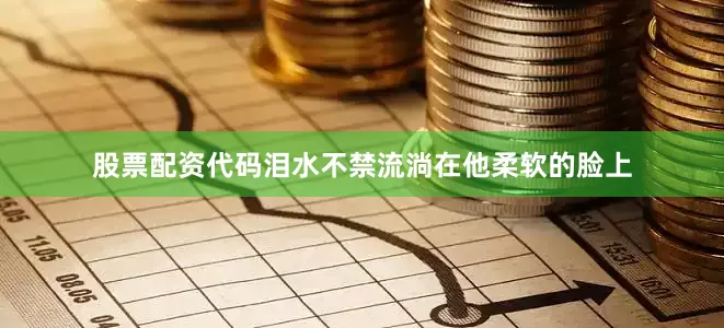 股票配资代码泪水不禁流淌在他柔软的脸上