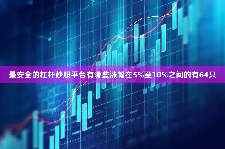 最安全的杠杆炒股平台有哪些涨幅在5%至10%之间的有64只