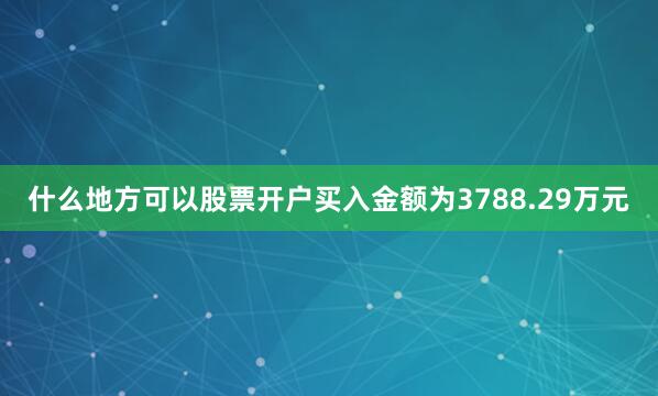 什么地方可以股票开户买入金额为3788.29万元